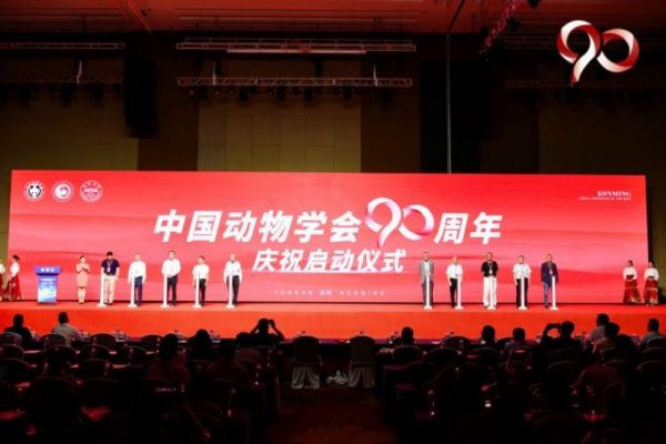 97622��������Ʒ��,����Ұ������׷��,��������׷����,����׷����