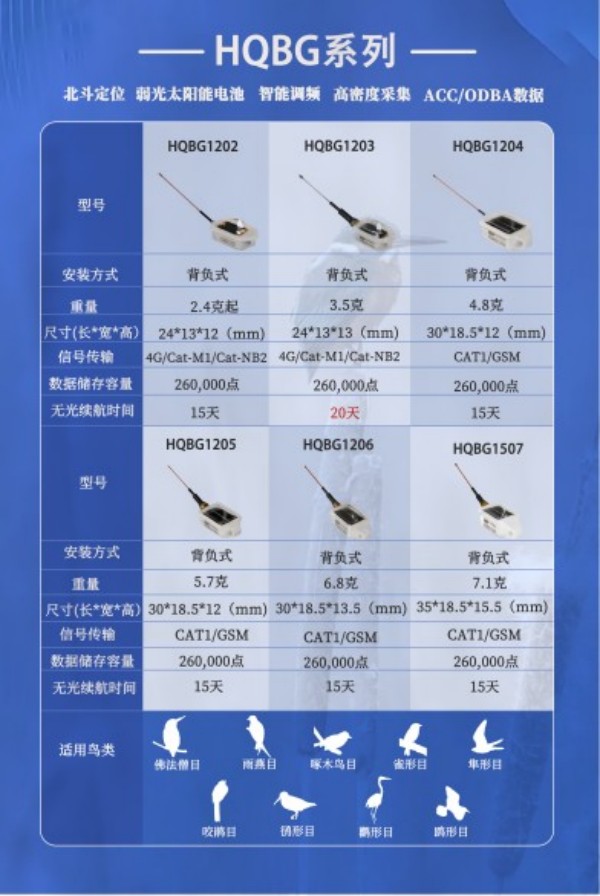 97622��������Ʒ��,����Ұ������׷��,��������׷����,����׷����