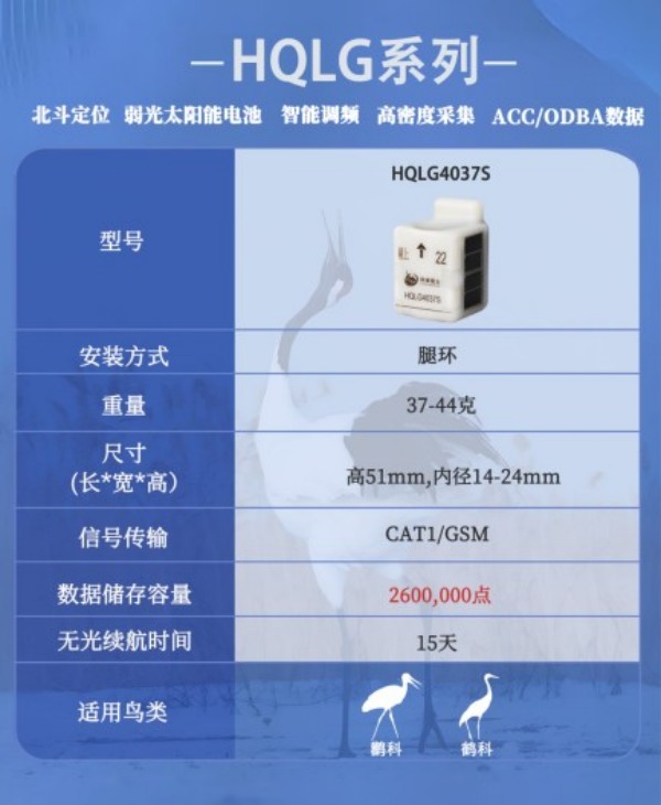 97622��������Ʒ��,����Ұ������׷��,��������׷����,����׷����