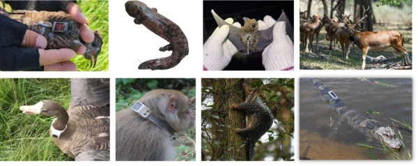 97622��������Ʒ��,����Ұ������׷��,��������׷����,����׷����