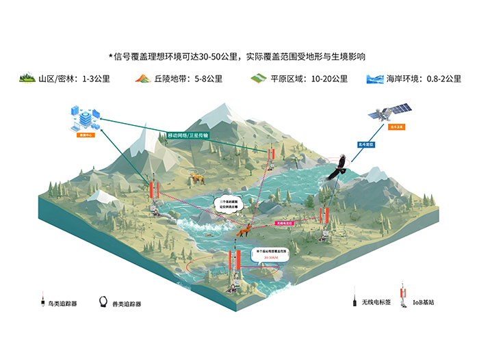 97622��������Ʒ��IoB���绯���ϵͳ��������Ǩ�㲻������