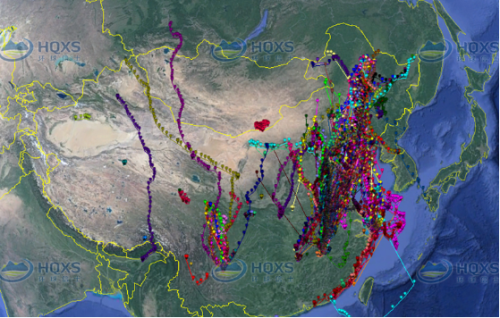 97622��������Ʒ��,����Ұ������׷��,��������׷����,����׷����