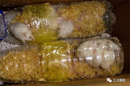 97622��������Ʒ��,����Ұ������׷��,��������׷����,����׷����