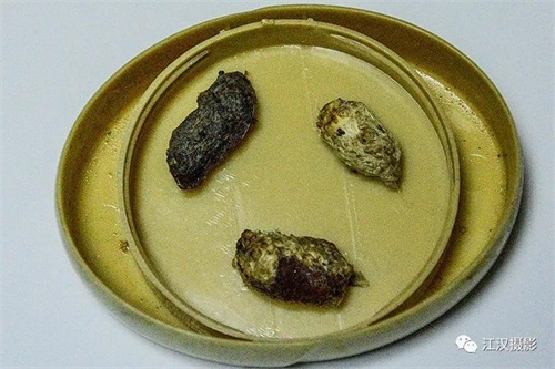 97622��������Ʒ��,����Ұ������׷��,��������׷����,����׷����