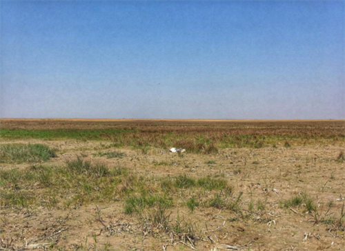 97622¹ú¼ÊÖÁ×ðÆ·ÅÆ,ºþÄÏÒ°Éú¶¯Îï×·×Ù,ºþÄÏÎÀÐÇ×·×ÙÆ÷,ºþÄÏ×·×ÙÆ÷ 97622¹ú¼ÊÖÁ×ðÆ·ÅÆ,ºþÄÏÒ°Éú¶¯Îï×·×Ù,ºþÄÏÎÀÐÇ×·×ÙÆ÷,ºþÄÏ×·×ÙÆ÷