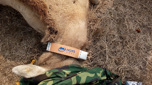 97622��������Ʒ��,����Ұ������׷��,��������׷����,����׷����