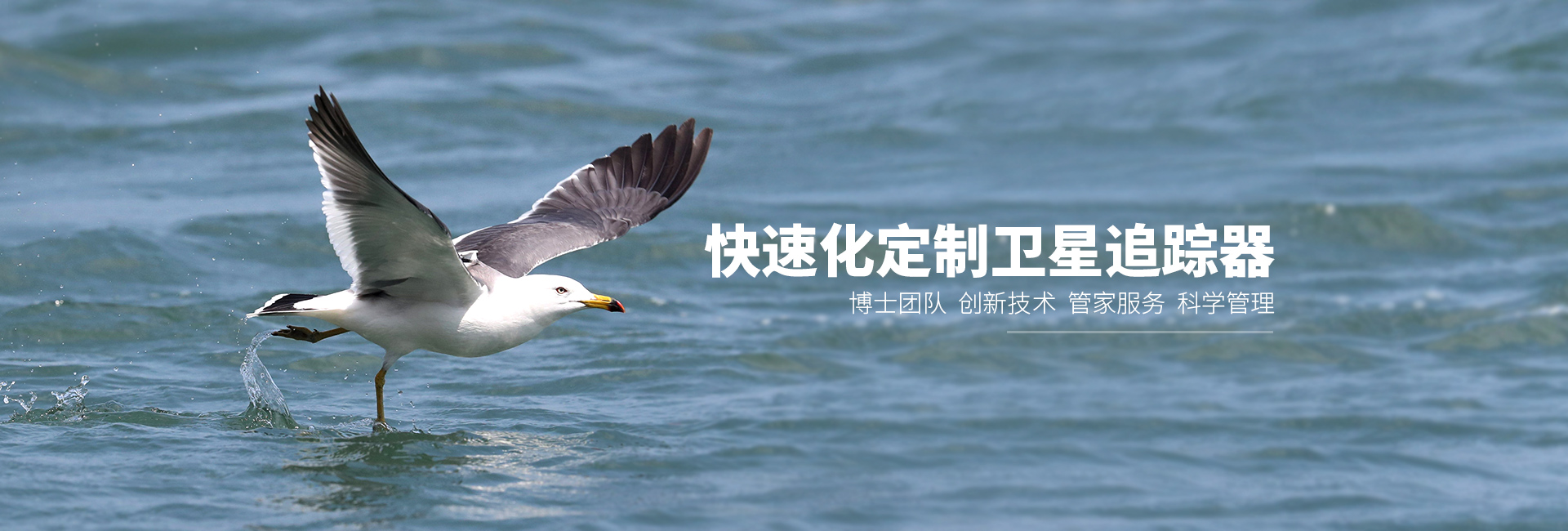 97622��������Ʒ��_����Ұ������׷��|��������׷����