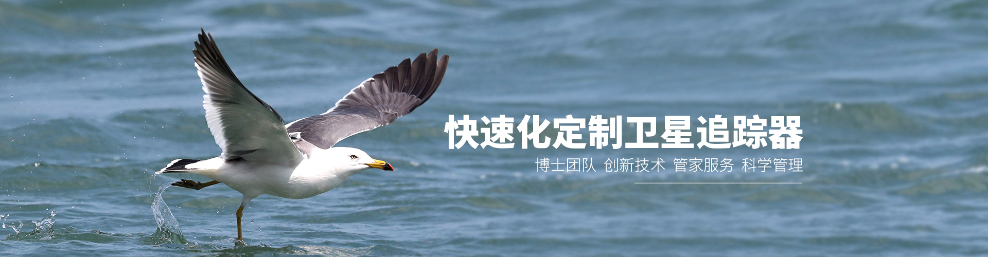 97622��������Ʒ��_����Ұ������׷��|��������׷����