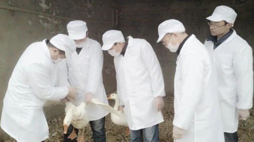 97622��������Ʒ��,����Ұ������׷��,��������׷����,����׷����